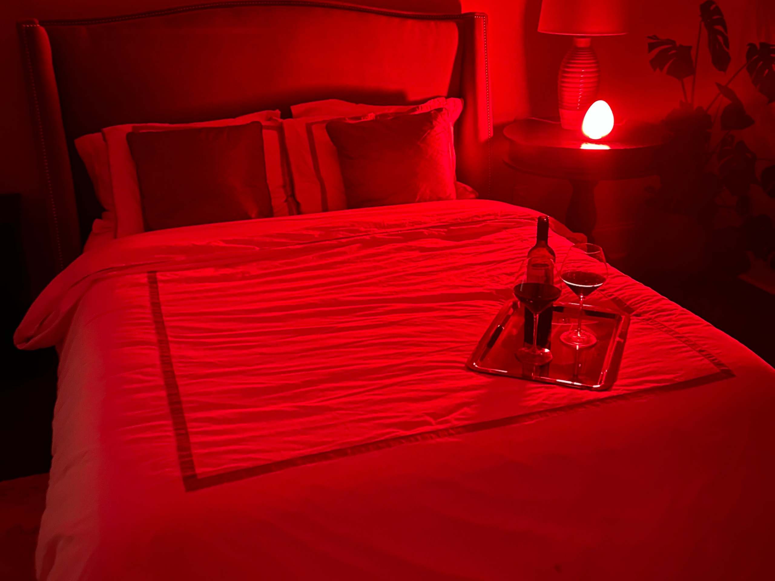 The red light lamp and wine